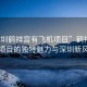 “深圳鶴祥宮有飛機項目”鶴祥宮飛機項目的獨特魅力與深圳新風(fēng)貌