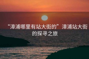 “漳浦哪里有站大街的”漳浦站大街的探尋之旅