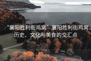 “襄陽(yáng)勝利街雞窩”襄陽(yáng)勝利街雞窩，歷史、文化與美食的交匯點(diǎn)