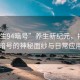 “養生94暗號”養生新紀元，揭秘94暗號的神秘面紗與日常應用