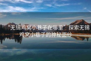 “無(wú)錫雞窩小巷子在哪里”探索無(wú)錫雞窩小巷子的神秘面紗