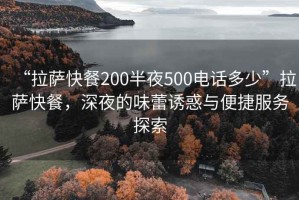 “拉薩快餐200半夜500電話(huà)多少”拉薩快餐，深夜的味蕾誘惑與便捷服務(wù)探索