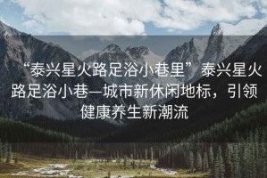 “泰興星火路足浴小巷里”泰興星火路足浴小巷—城市新休閑地標，引領(lǐng)健康養生新潮流