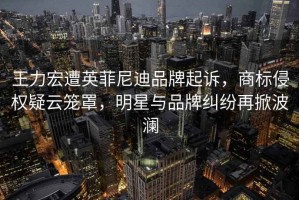 王力宏遭英菲尼迪品牌起訴，商標侵權疑云籠罩，明星與品牌糾紛再掀波瀾