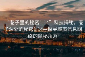 “巷子里的秘密1.14”科技揭秘，巷子深處的秘密1.14—探尋城市信息網(wǎng)絡(luò )的隱秘角落
