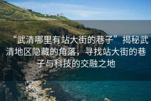 “武清哪里有站大街的巷子”揭秘武清地區隱藏的角落，尋找站大街的巷子與科技的交融之地