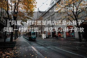 “鳳凰一村對面是雞店還是小巷子”鳳凰一村的對面，雞店與小巷子的故事