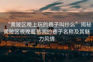 “黃陂區晚上玩的巷子叫什么”揭秘黃陂區夜晚最熱鬧的巷子名稱(chēng)及其魅力風(fēng)情