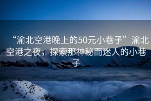 “渝北空港晚上的50元小巷子”渝北空港之夜，探索那神秘而迷人的小巷子