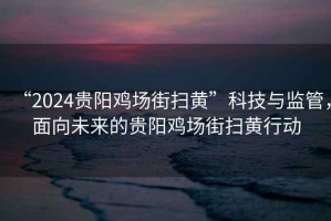 “2024貴陽(yáng)雞場(chǎng)街掃黃”科技與監管，面向未來(lái)的貴陽(yáng)雞場(chǎng)街掃黃行動(dòng)