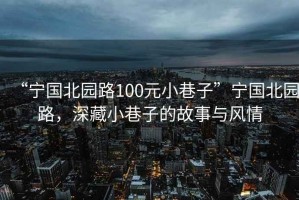 “寧國北園路100元小巷子”寧國北園路，深藏小巷子的故事與風(fēng)情