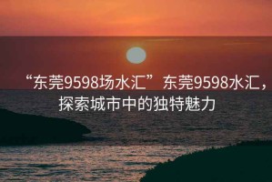 “東莞9598場(chǎng)水匯”東莞9598水匯，探索城市中的獨特魅力