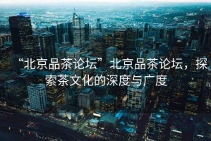 “北京品茶論壇”北京品茶論壇，探索茶文化的深度與廣度