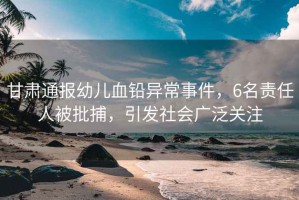 甘肅通報幼兒血鉛異常事件，6名責任人被批捕，引發(fā)社會(huì )廣泛關(guān)注