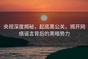 央視深度揭秘，起底黑公關(guān)，揭開(kāi)網(wǎng)絡(luò )謠言背后的黑暗勢力