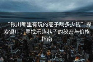 “銀川哪里有玩的巷子啊多少錢(qián)”探索銀川，尋找樂(lè )趣巷子的秘密與價(jià)格指南
