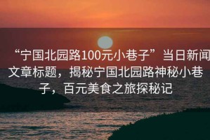“寧國北園路100元小巷子”當日新聞文章標題，揭秘寧國北園路神秘小巷子，百元美食之旅探秘記