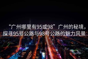 “廣州哪里有95或98”廣州的秘境，探尋95號公路與98號公路的魅力風(fēng)景