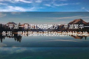 “平湖一條街150元地方”平湖繁華一條街，揭秘那些只花150元的神秘之地
