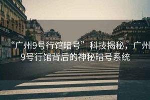 “廣州9號行館暗號”科技揭秘，廣州9號行館背后的神秘暗號系統
