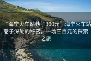 “海寧火車(chē)站巷子300元”海寧火車(chē)站巷子深處的秘密，一場(chǎng)三百元的探索之旅