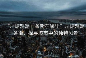 “岳塘雞窩一條街在哪里”岳塘雞窩一條街，探尋城市中的獨特風(fēng)景