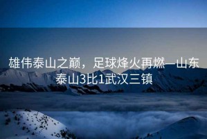 雄偉泰山之巔，足球烽火再燃—山東泰山3比1武漢三鎮
