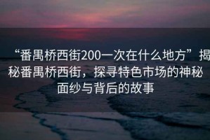 “番禺橋西街200一次在什么地方”揭秘番禺橋西街，探尋特色市場(chǎng)的神秘面紗與背后的故事