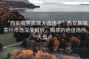 “西安喝茶高端大選場(chǎng)子”西安高端茶葉市場(chǎng)深度解析，喝茶的絕佳場(chǎng)所大盤(pán)點(diǎn)