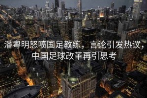 潘粵明怒噴國足教練，言論引發(fā)熱議，中國足球改革再引思考