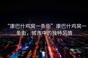 “康巴什雞窩一條街”康巴什雞窩一條街，城市中的獨特風(fēng)情