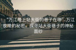 “萬(wàn)江晚上站大街的巷子在哪”萬(wàn)江夜晚的秘密，探尋站大街巷子的神秘面紗