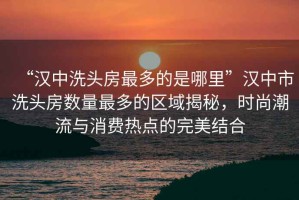 “漢中洗頭房最多的是哪里”漢中市洗頭房數量最多的區域揭秘，時(shí)尚潮流與消費熱點(diǎn)的完美結合
