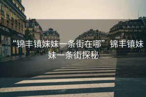 “錦豐鎮妹妹一條街在哪”錦豐鎮妹妹一條街探秘