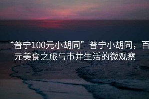 “普寧100元小胡同”普寧小胡同，百元美食之旅與市井生活的微觀(guān)察