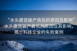“水頭唐宮破產(chǎn)背后的原因及影響”水頭唐宮破產(chǎn)背后的原因及其影響，揭示科技企業(yè)的失敗案例