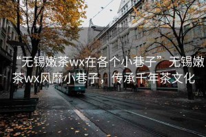“無(wú)錫嫩茶wx在各個(gè)小巷子”無(wú)錫嫩茶wx風(fēng)靡小巷子，傳承千年茶文化