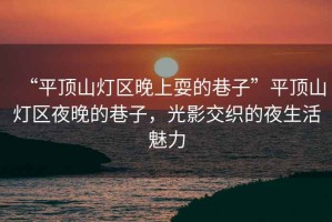 “平頂山燈區晚上耍的巷子”平頂山燈區夜晚的巷子，光影交織的夜生活魅力