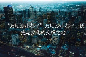 “萬(wàn)頃沙小巷子”萬(wàn)頃沙小巷子，歷史與文化的交織之地