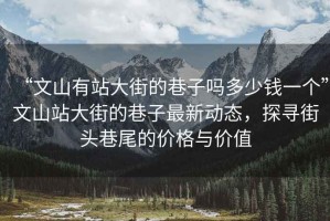 “文山有站大街的巷子嗎多少錢(qián)一個(gè)”文山站大街的巷子最新動(dòng)態(tài)，探尋街頭巷尾的價(jià)格與價(jià)值