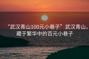 “武漢青山100元小巷子”武漢青山，藏于繁華中的百元小巷子