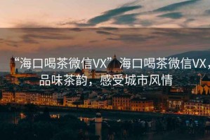 “?？诤炔栉⑿臯X”?？诤炔栉⑿臯X，品味茶韻，感受城市風(fēng)情