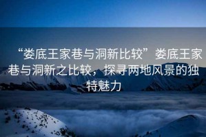“婁底王家巷與洞新比較”婁底王家巷與洞新之比較，探尋兩地風(fēng)景的獨特魅力