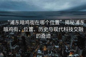 “浦東暗雞街在哪個(gè)位置”揭秘浦東暗雞街，位置、歷史與現代科技交融的奇跡