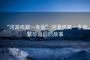 “河源雞窩一條街”河源雞窩一條街，繁華背后的故事