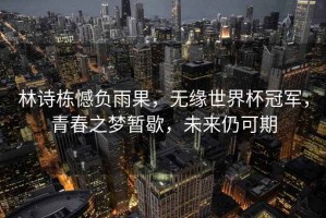 林詩(shī)棟憾負雨果，無(wú)緣世界杯冠軍，青春之夢(mèng)暫歇，未來(lái)仍可期