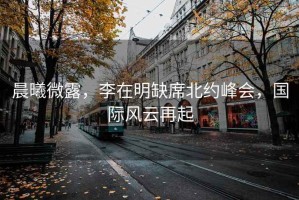 晨曦微露，李在明缺席北約峰會(huì )，國際風(fēng)云再起