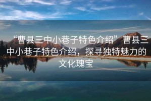 “曹縣三中小巷子特色介紹”曹縣三中小巷子特色介紹，探尋獨特魅力的文化瑰寶