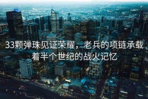 33顆彈珠見(jiàn)證榮耀，老兵的項鏈承載著(zhù)半個(gè)世紀的戰火記憶