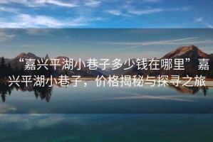 “嘉興平湖小巷子多少錢(qián)在哪里”嘉興平湖小巷子，價(jià)格揭秘與探尋之旅